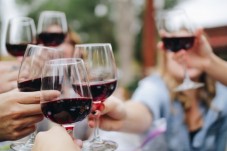 Chauffeured private tour from Livorno harbour with Sassicaia wine tasting