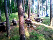 Survival Militarny Zielona Taktyka 24 Hours