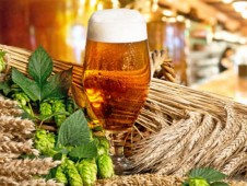 Degustacja piwa (Kurs kiperski) Szczecin