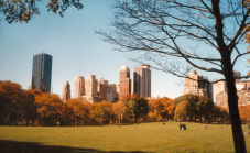 Central Park Movie & TV Sites Walking Tour