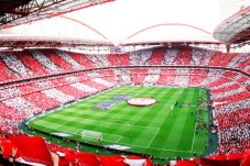Pack SLB - Stade & Musée + une écharpe - Tarif enfant